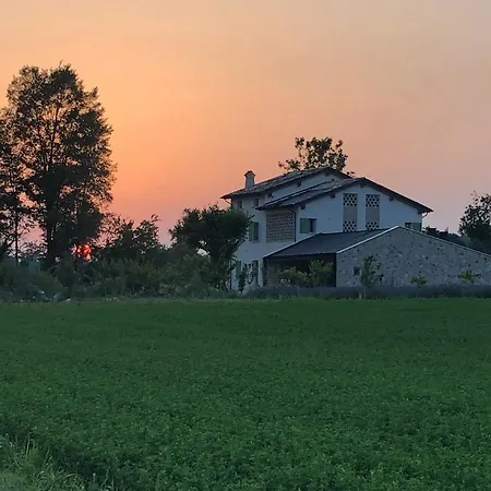 Redo