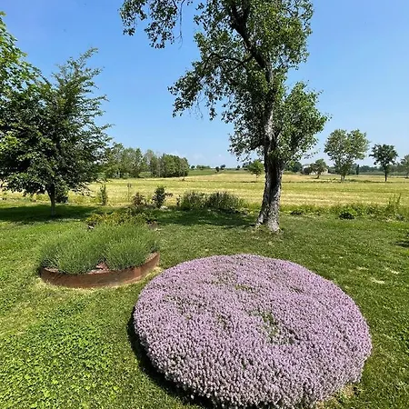 Farm stay Redo Ponti sul Mincio