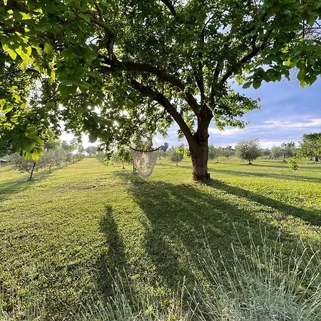 Farm stay Redo Ponti sul Mincio