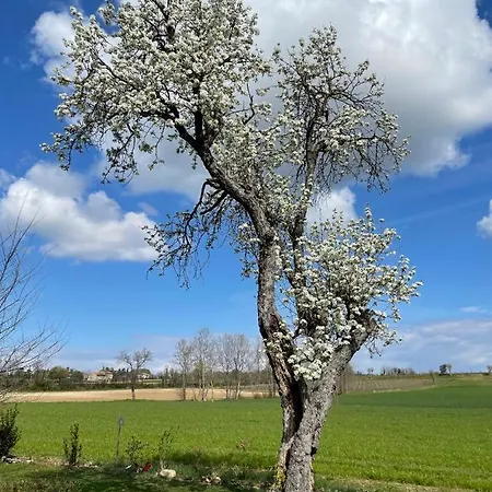 Redo Farm stay Ponti sul Mincio